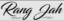 Pakistani Dresses Online UK | Designer Clothes & Suits – Rang Jah